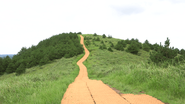 Winding road leading up to oreum