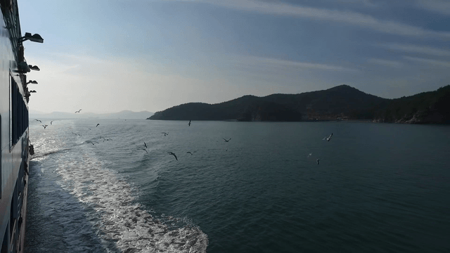 Ship sailing with seagulls on the sea