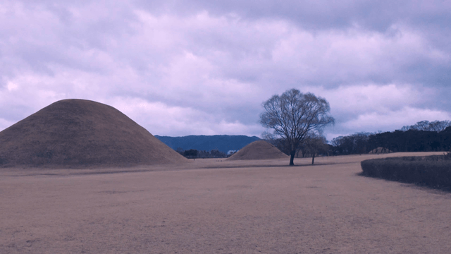 고요한 대릉원 지역의 고분