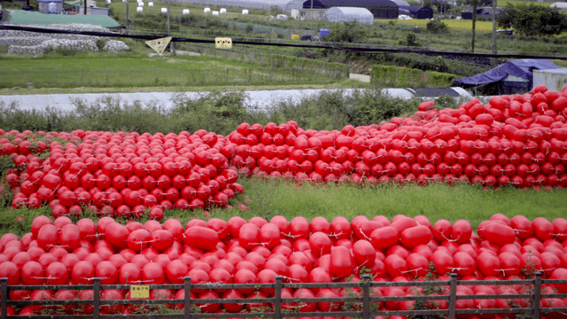 들판에 쌓여 있는 붉은 부표 더미