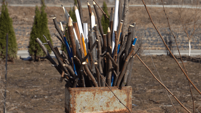 Wooden pencil carving on rural background