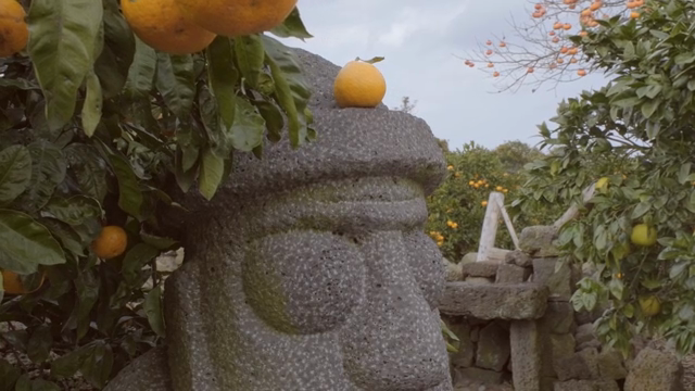 Stone statue with oranges in a garden