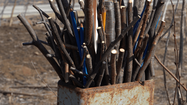 Wooden pencil carving on rural background