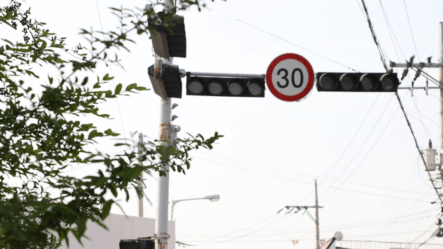 Traffic light and speed limit sign