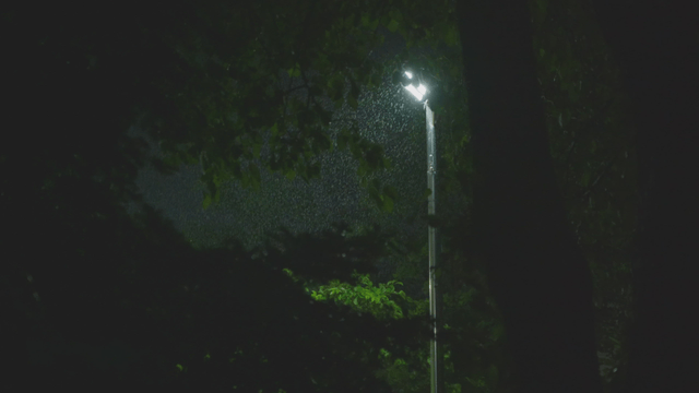 Rainy night illuminated by streetlights