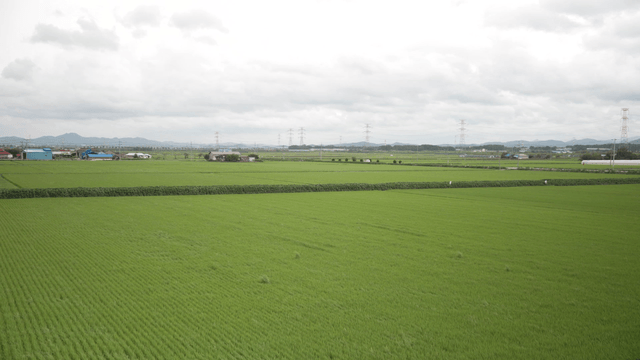 Green field under cloudy sky
