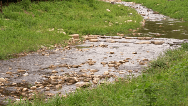 Clear stream flowing through stones in quiet meadow