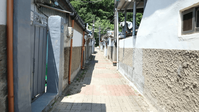 Narrow alleyway between residential buildings