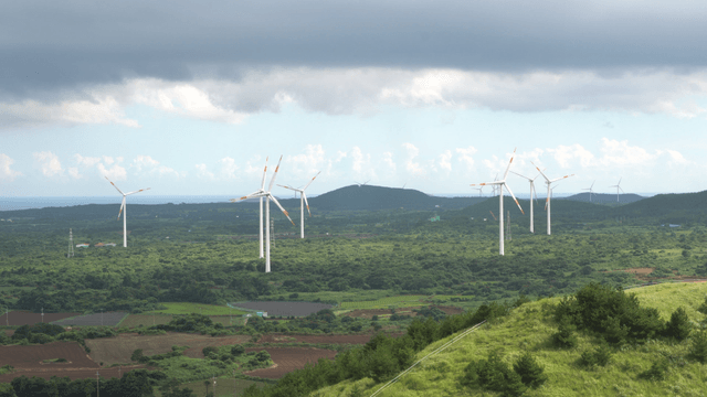 Wind turbines in wide grassland landscape