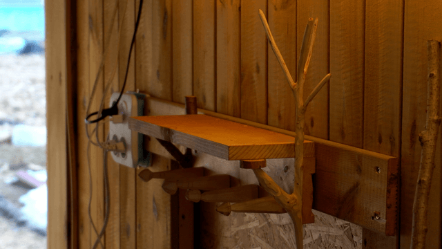 Wooden shelf on a rustic wall