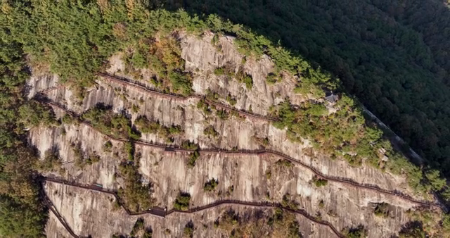 Mountain path winding through lush greenery