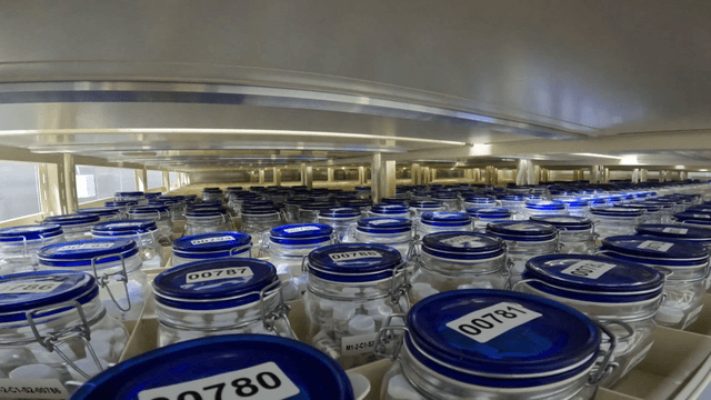 실험실의 파란 뚜껑에 라벨지들이 붙어 있는 병들