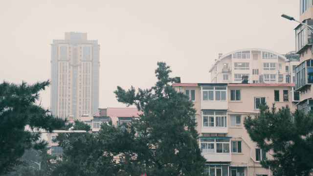City buildings with trees in the foreground