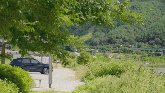 Riverside walkway with summer greenery
