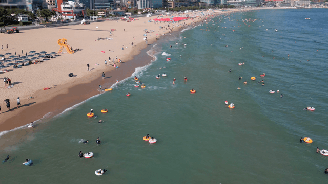 Busy beach with people enjoying the sea