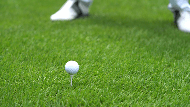 Golf club and ball on green grass