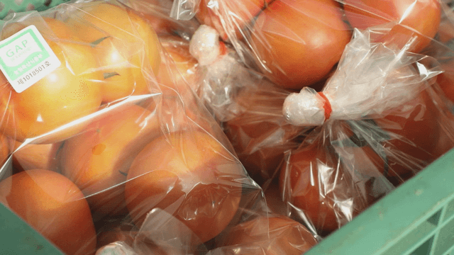 Fresh tomatoes in plastic packaging
