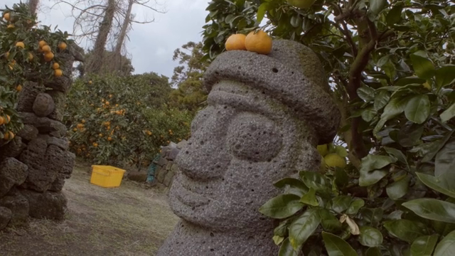Stone statue with oranges in an orchard