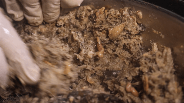 Boiled loaches mashed through a strainer