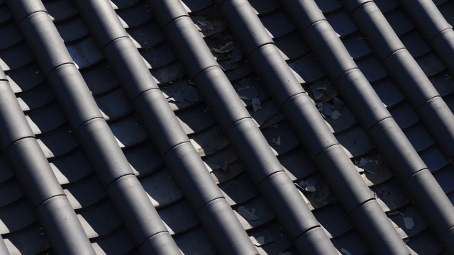 전통 기와의 근접 촬영