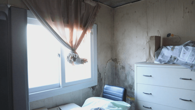 Dimly lit room with a window and curtain with moss