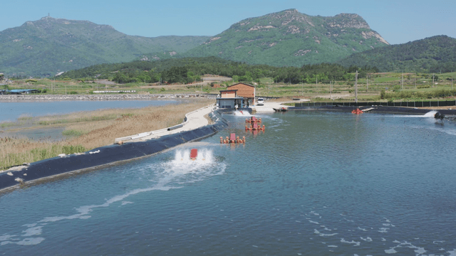 Scenic view of a fish farm in the countryside