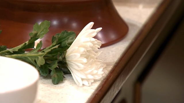 White chrysanthemum on a traditional table