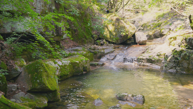 Clear valley stream flowing beneath moss-covered rocks