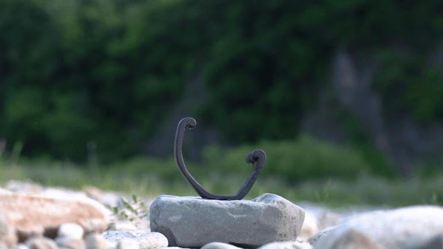 Curved wooden sculpture on stone in nature