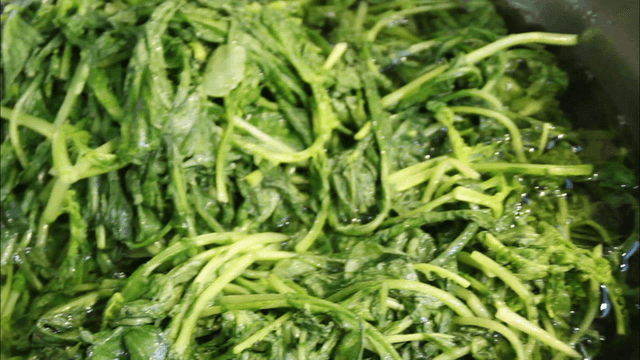 Young radish salted in brine