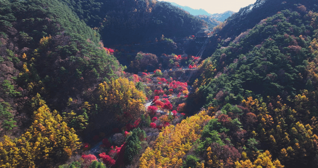 Winding mountain road with autumn foliage