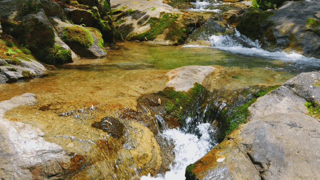 Clear valley water flowing over mossy rocks