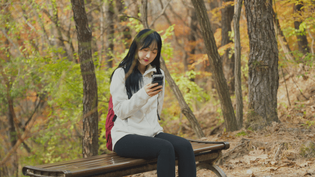 Young woman using smartphone on bench in forest