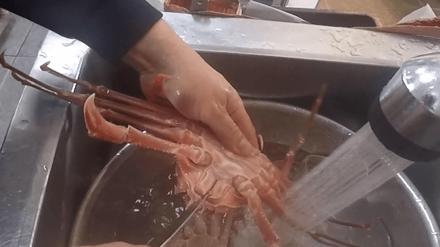 흐르는 물에 칼로 손질되는 게