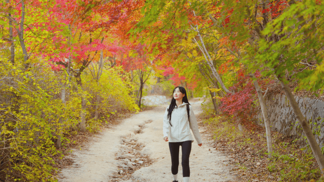 Young woman walking down autumn maple forest trail