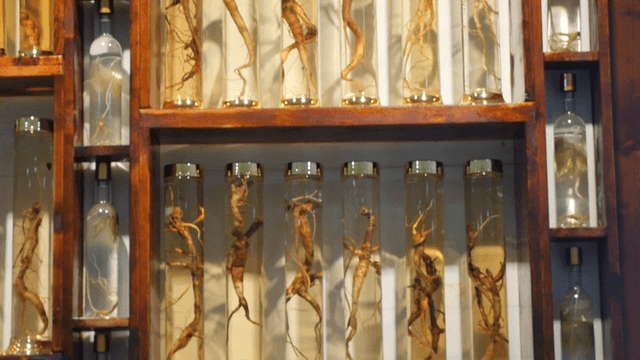 Displayed Old Infusion Liquors