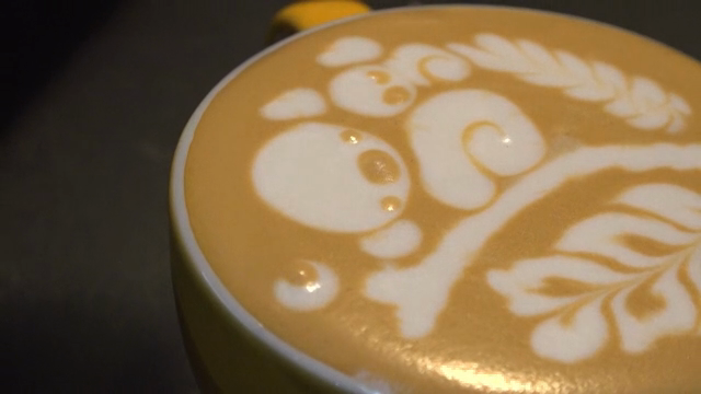 Latte art being crafted in a cup