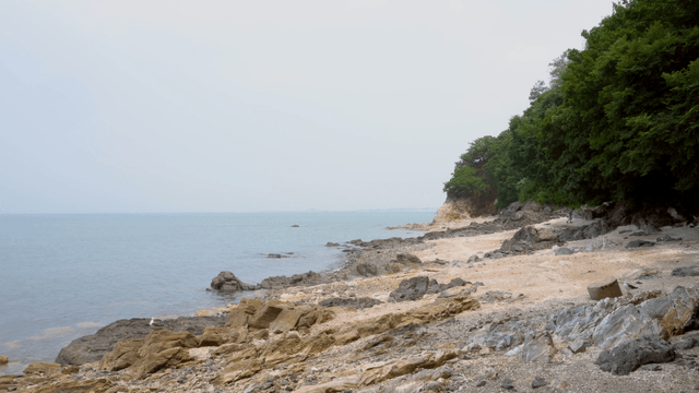 A rocky beach with lush green trees