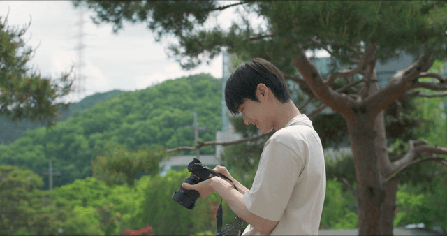 Young man taking photos in a green park