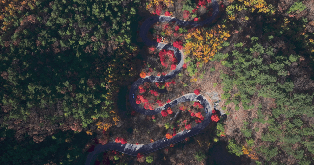 Winding road through a colorful autumn forest