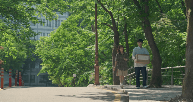 Couple walking on a tree-lined street