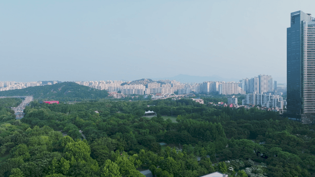 Green forest park with tall building in Seoul