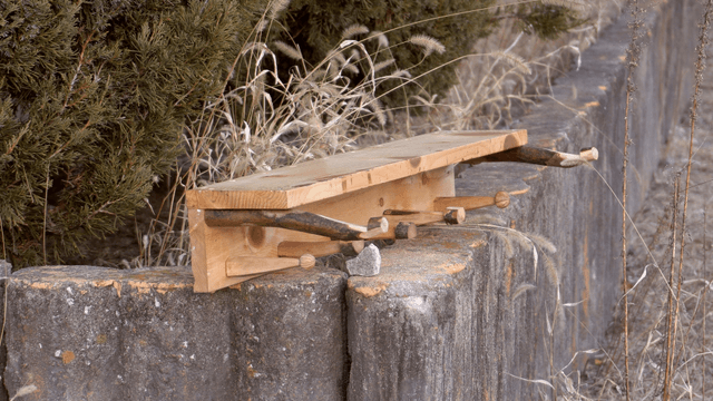 Wooden stand placed by a withered garden fence