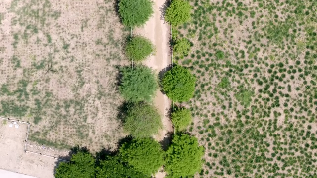 Aerial view of a park with pathways and trees