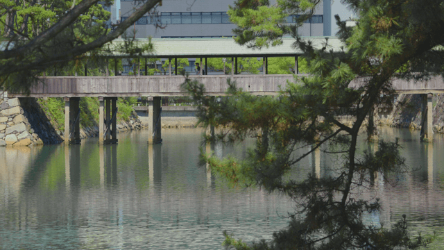 Wooden bridge with a green roof in the city
