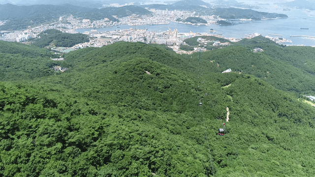 Cable cars over a scenic city and forest