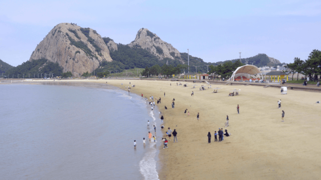 해변에서 즐기는 사람들