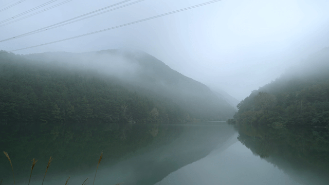 Misty lake surrounded by forested hills