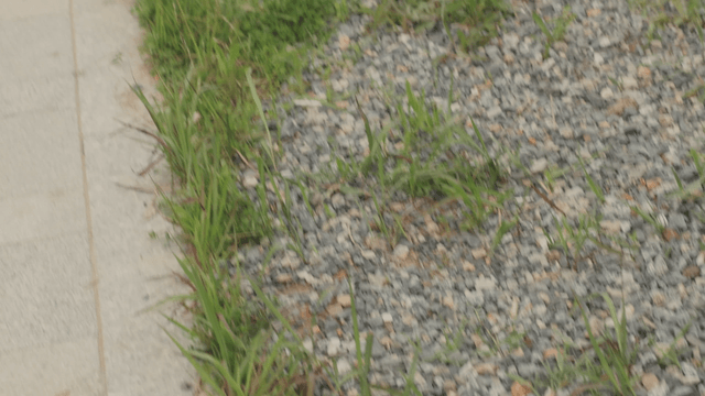 Land marked with stakes and markings