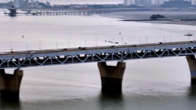 Birds flying over the river